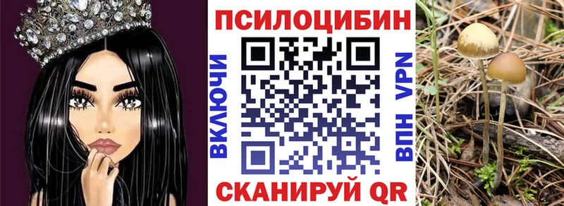 Псилоцибиновые грибы Psilocybine cubensis  Голицыно 